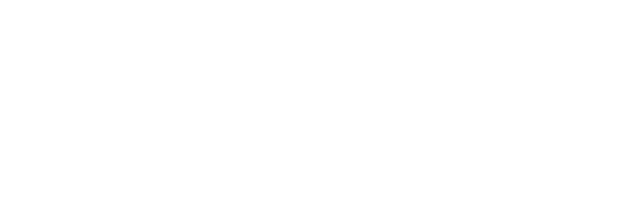 dominik feil neues logo raumausstatter-weiss ohne hintergrund logo-01